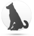 Chien