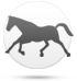 Cheval